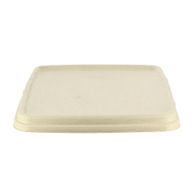 Sugarcane Lid for Container 23x23cm (75 Units)  