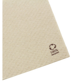 Paper Napkin Eco-Friendly Embossed  30x30cm 1 Layer (100 Units)