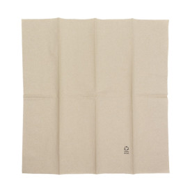 Paper Napkin Eco-Friendly 1/8 40x40cm 2C (50 Units)