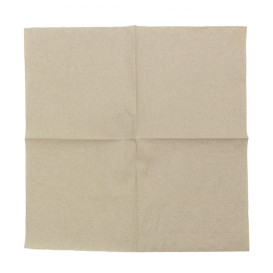 Paper Napkins Eco-Friendly 20x20cm 2C (100 Units) 