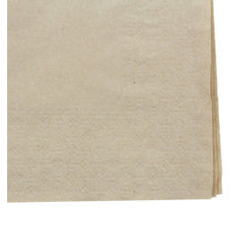 Paper Napkins Eco-Friendly 20x20cm 2C (100 Units) 