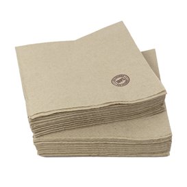 Paper Napkin Eco "Recycled" 33x33cm 1C (4800 Units)