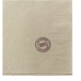 Paper Napkin Eco "Recycled" 33x33cm 1C (100 Units) 