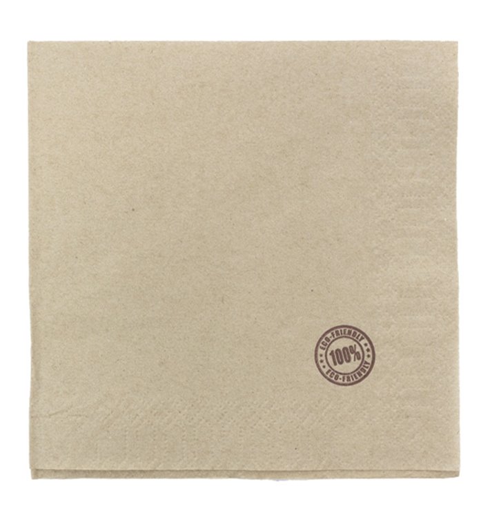 Paper Napkin Eco "Recycled" 33x33cm 1C (100 Units) 