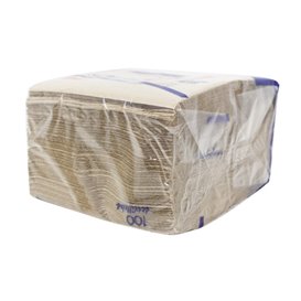 Paper Napkin Eco "Recycled" 33x33cm 1C (100 Units) 