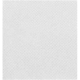 Paper Napkin Micropoint White 20x20cm 2C (100 Units)
