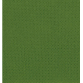 Paper Napkin Micropoint Green 20x20cm 2C (100 Units)  