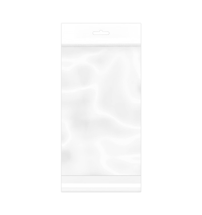 Plastic Bag Adhesive Flap Euroslot 16x30cm G-160 (100 Units)  