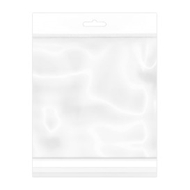 Plastic Bag Adhesive Flap Euroslot 12,5x12,5cm G-160 (100 Units)  