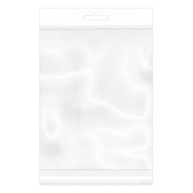 Plastic Bag Adhesive Flap Euroslot 23x32cm G-160 (100 Units)  