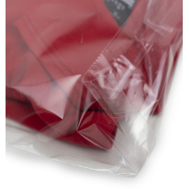 Plastic Bags Adhesive Flap CPP G160 35x45cm (1000 Units)