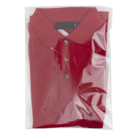 Plastic Bags Adhesive Flap CPP G160 25x35cm (100 Units)  