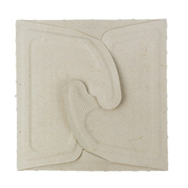 Package Sugarcane Box to Go 13x13x7cm 500ml. (50 Units)