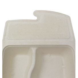 Package Sugarcane Box to Go 2C 21x15x5cm 800ml (200 Units)
