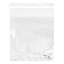 Plastic Bag with Adhesive Flap Cellophane 14x14cm G-160 (100 Units)  