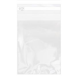 Plastic Bag with Adhesive Flap Cellophane 15x22cm G-160 (1000 Units)