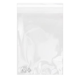Plastic Bag with Adhesive Flap Cellophane 18x25cm G-160 (100 Units)  