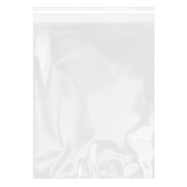Plastic Bag with Adhesive Flap Cellophane 30x40cm G-160 (100 Units)  