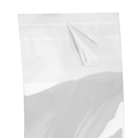 Plastic Bag with Adhesive Flap Cellophane 6x8cm G-160 (100 Units)  