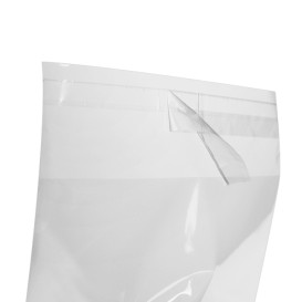 Plastic Bag with Adhesive Flap Cellophane 14x14cm G-160 (100 Units)  