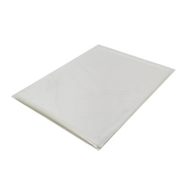 Plastic Bag with Adhesive Flap Cellophane 30x40cm G-160 (100 Units)  