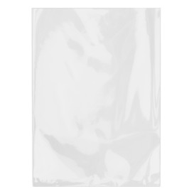 Plastic Bag Cellophane PP 18x25cm G-130 (100 Units)  
