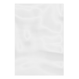 Plastic Bag G100 15x30cm (1000 Units)