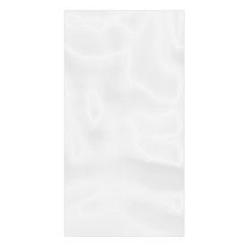 Plastic Bag G100 18x30cm (100 Units)  