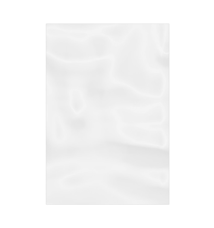 Plastic Bag G100 20x30cm (1000 Units)