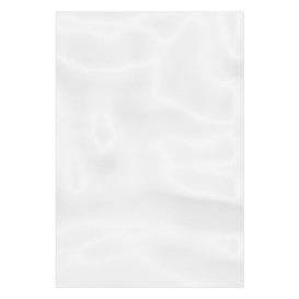 Plastic Bag G100 20x30cm (100 Units)  