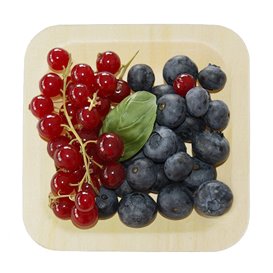 Wooden Plate Square Shape 11,5x11,5cm (300 Units)