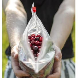 Plastic Bag Slider Zipper G250 23x10cm (50 Units) 