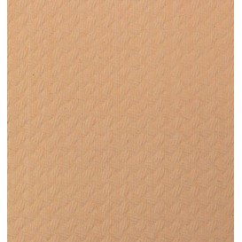 Placemat of Paper in Salmon 30x40cm 40g/m² (1.000 Units)