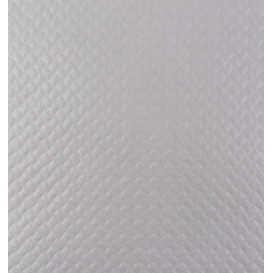 Paper Placemats 30x40cm Silver 45g/m² (500 Units)  