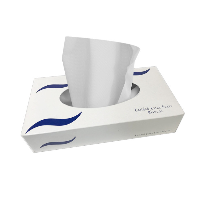 Facial Tissue 2 Layers Case 100 Units (1 Unit) 