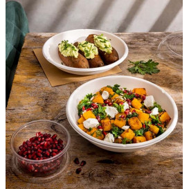 Sugarcane Bowl Bagasse White 470ml (50 Units) 