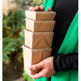 Kraft Deli2Go Salad Bowl 500ml 10,8x8,2x10,5cm (50 Units)