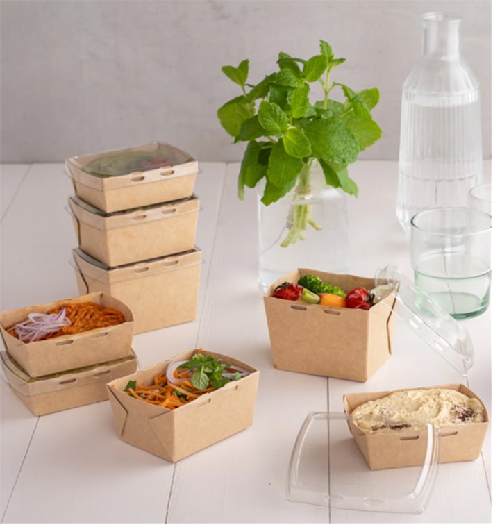 Kraft cardboard container with resistant PE interior