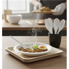 Compostable Reusable Spoon in CPLA White 16,5cm (1.000 Units)