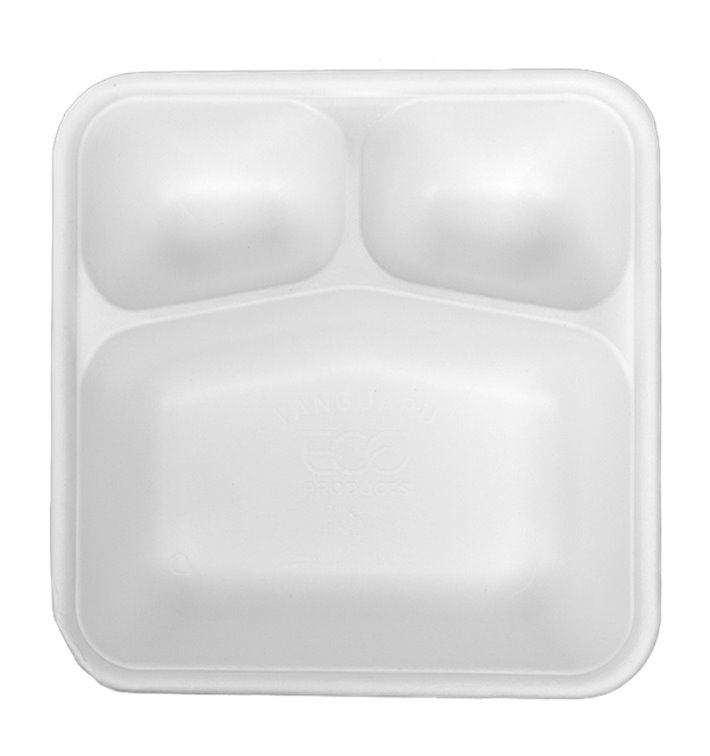 Sugar cane food container