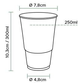 Plastic Cup PP Clear 300ml Ø7,3cm (2.500 Units)