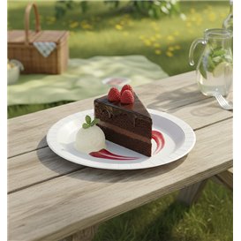 Paper Plate Round Greaseproof Shape White  Ø18cm 220g/m² (50 Units) 