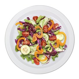 Reusable Plate in PS Flat White 22cm (550Units)