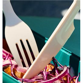 Reusable Durable Fork in PP Cream 17,9cm (20 Units)