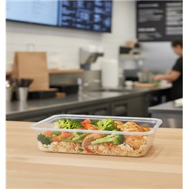 Rectangular Container in PP Transparent 500ml 17,4x11,6x3,5cm (500 Units)