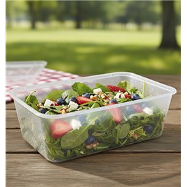Rectangular Container in PP Transparent 750ml 17,4x11,6x5,5cm (500 Units)