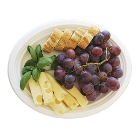 Sugarcane Tray White 26x20 cm (500 Units)