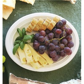 Sugarcane Tray White 26x20 cm (50 Units) 