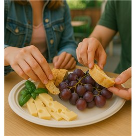 Sugarcane Tray White 26x20 cm (50 Units) 