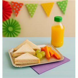 Paper Tray Rectangular shape Silver 18x24cm (800 Units)